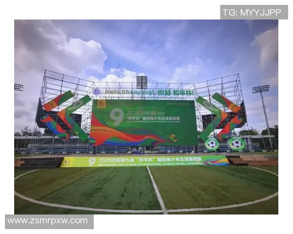 沈阳190cm足球明星的崛起与未来发展之路探讨