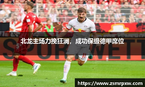 北龙主场力挽狂澜，成功保级德甲席位