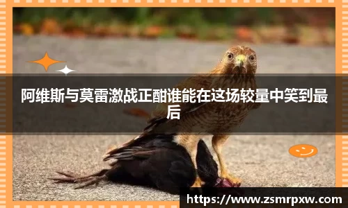 阿维斯与莫雷激战正酣谁能在这场较量中笑到最后